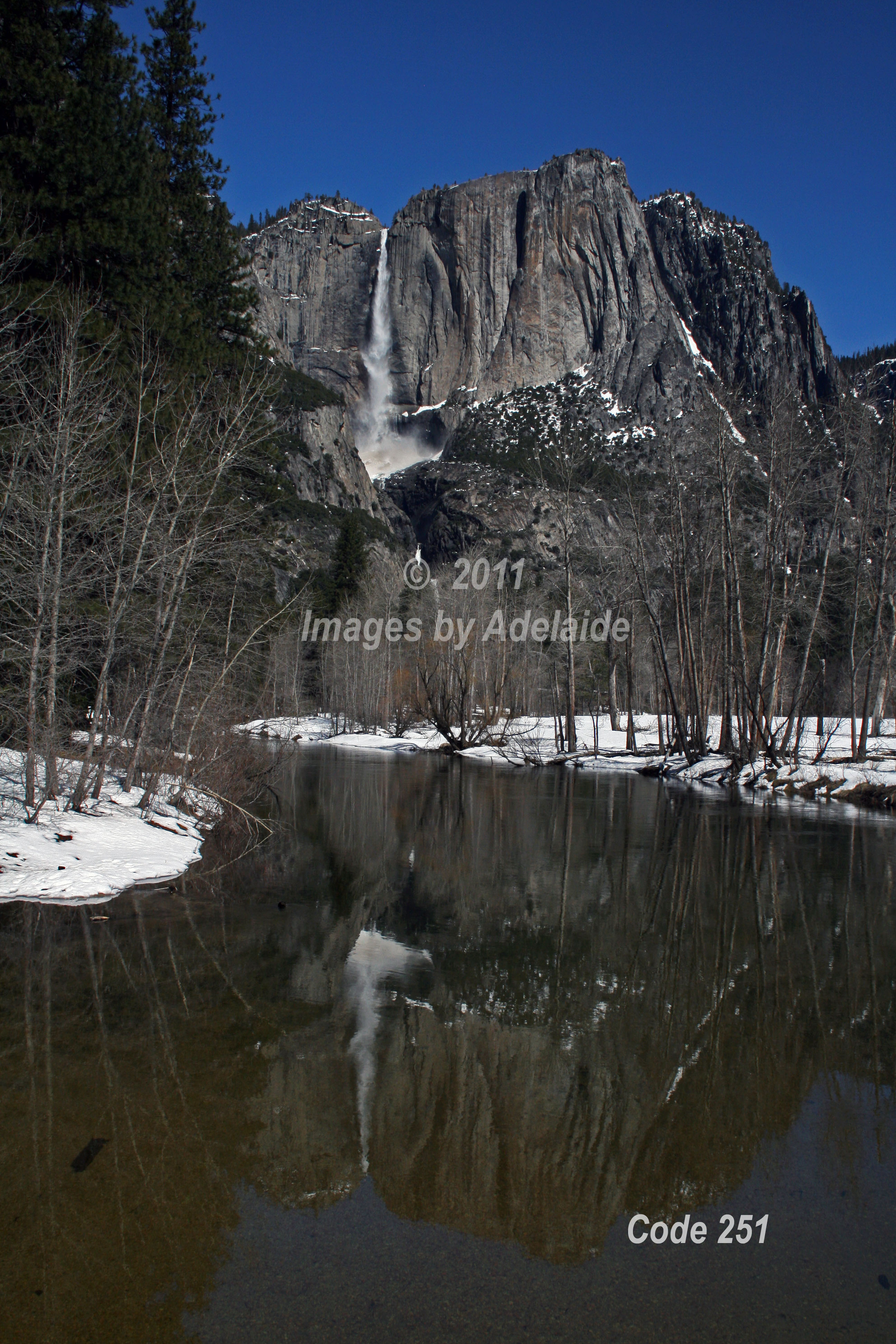 Upper Yosemite Fall Merced River Reflection